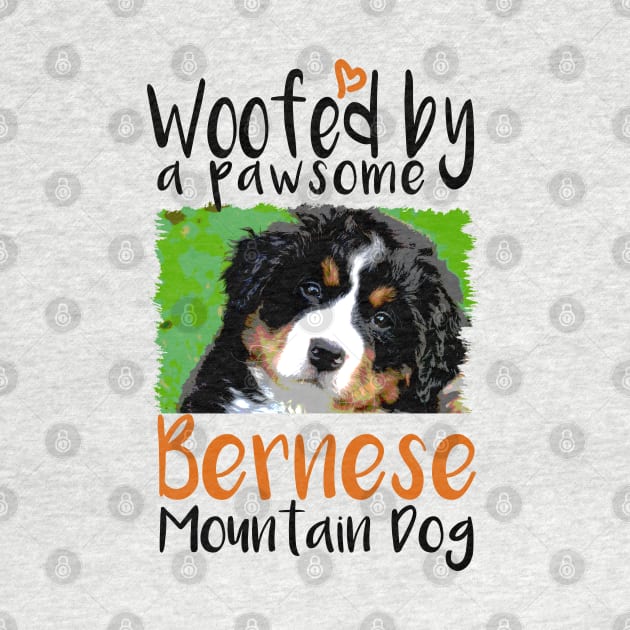 Bernese Mountain Dog Face by VanTees